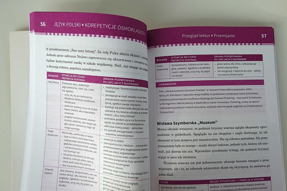 JĘZYK POLSKi - Korepetycje ósmoklasisty