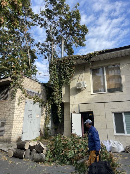 Обрезка деревьев на плодоношение Спил больших деревьев вывоз Бесплатно