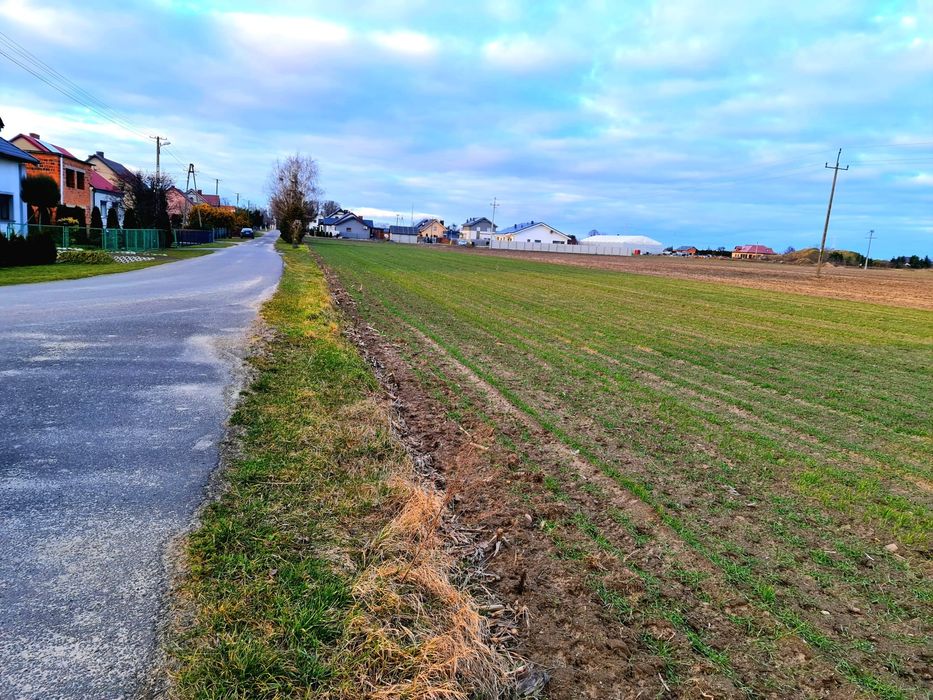 Sprzedam działki w centrum Dominowa