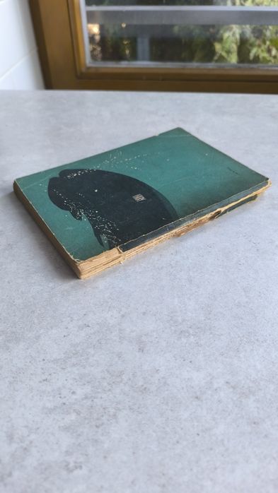 Płynę w świat - Czajka