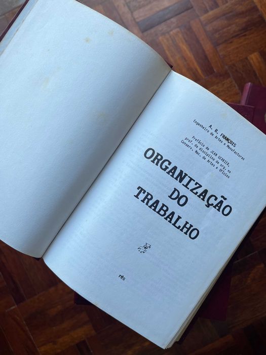 Coleção espiral e Coleção diagonal (1979-84)