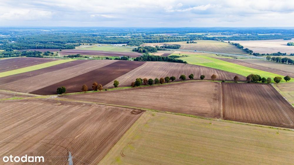 Działka z potencjałem – Sławno | Bobrowiczki