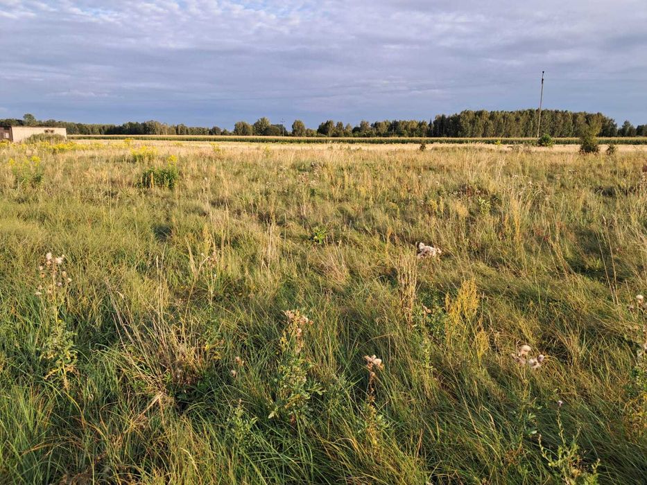 Działka budowlana - Wymysłów Francuski, gm. Dobroń, 10 min od S14!