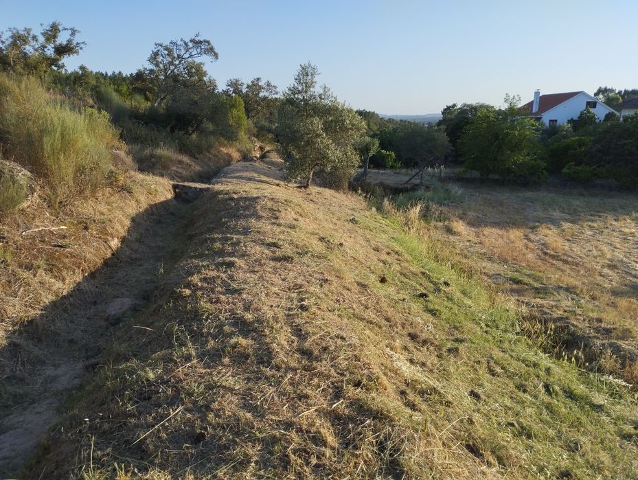 Prestação de serviços de jardinagem