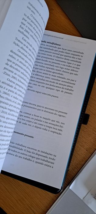 Livro Inteligência Emocional de Paulo Moreira