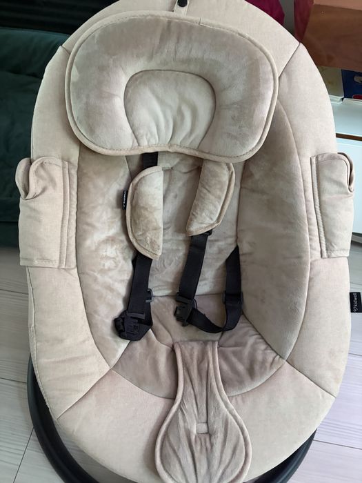 Bujaczek niemowolęcy