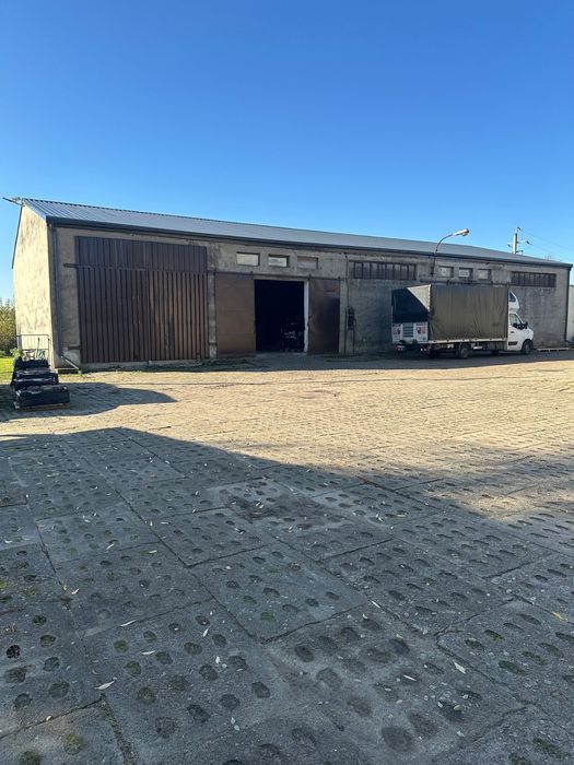 Hala, magazyn na wynajem