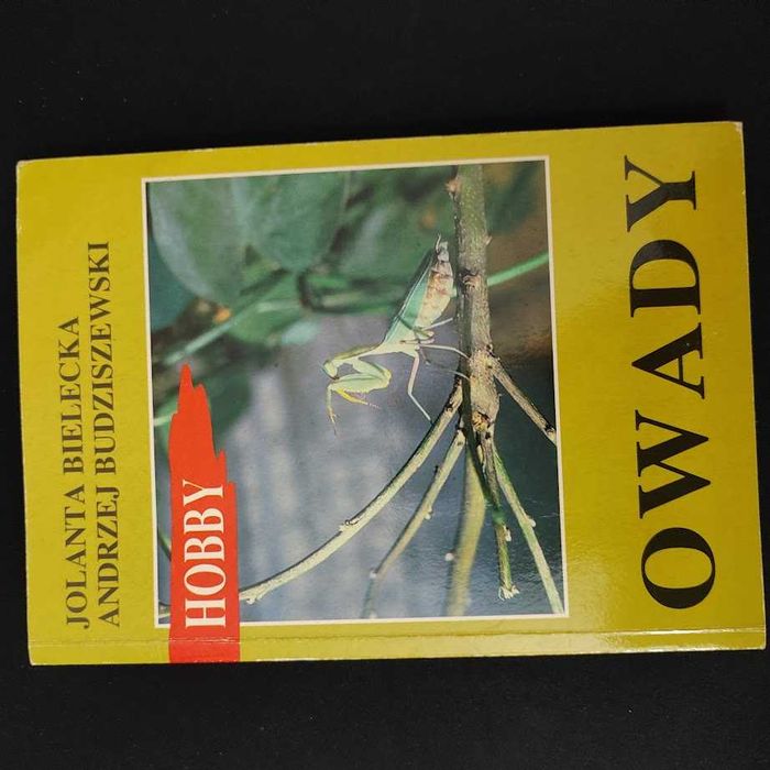 Owady  Jolanta Bielecka