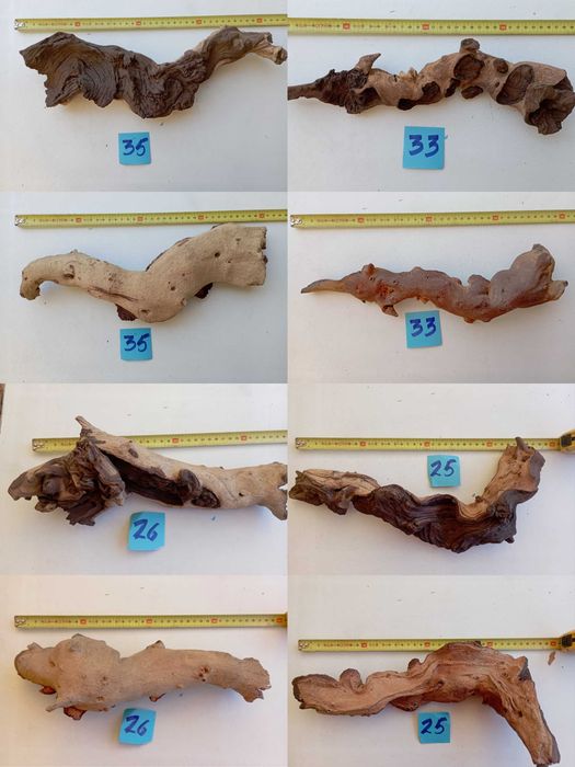 Troncos para aquário