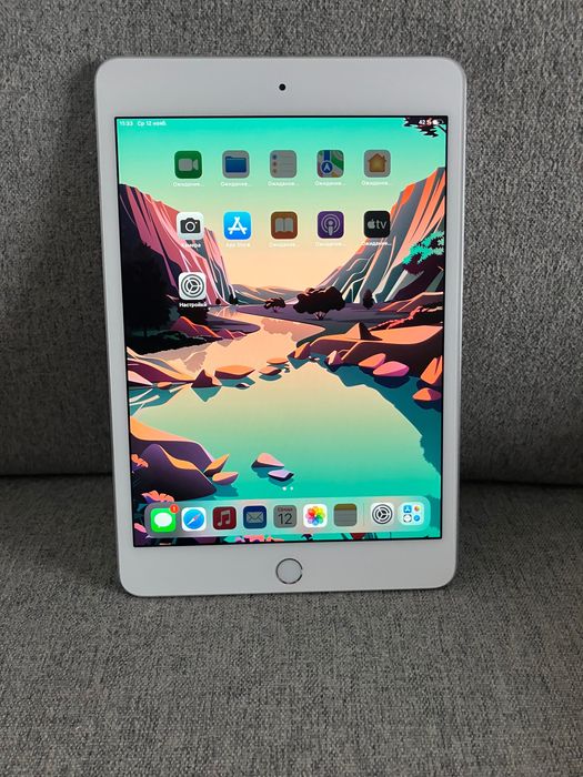 iPad mini 5 256 Gb silver