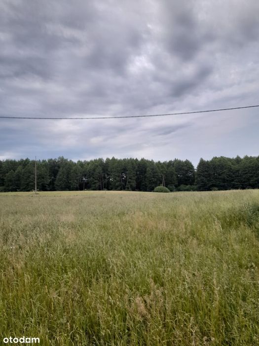 Działki w Chroślu. - View 2
