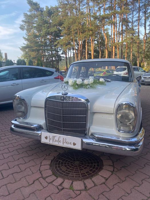 Samochód  do ślubu Mercedes w111