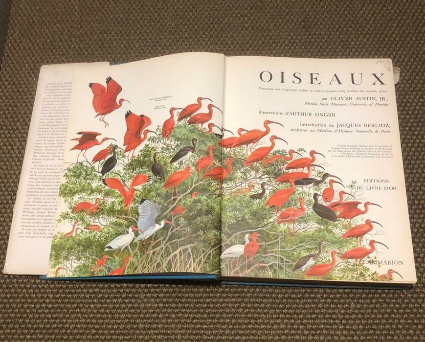 Livro anos edição anos 60 de pássaros