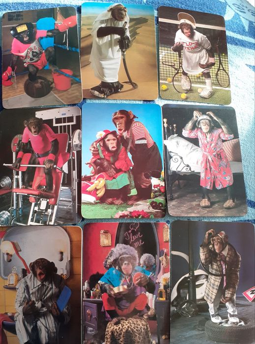 9 calendários "macacos"