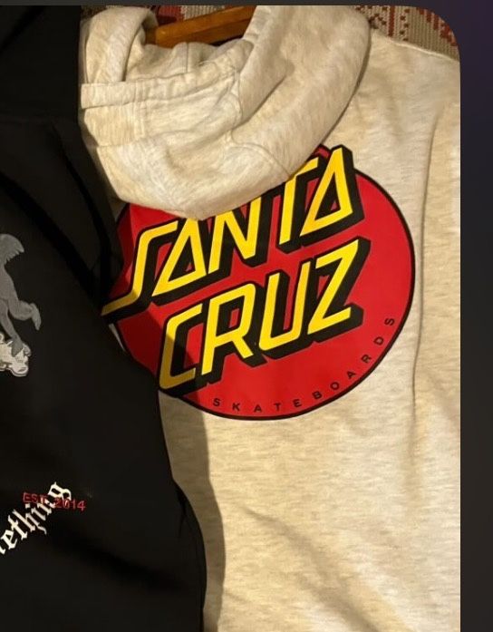 худи santa cruz big logo