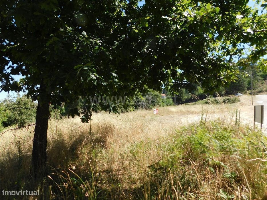 Lote / Seia, Seia, São Romão e Lapa dos Dinheiros