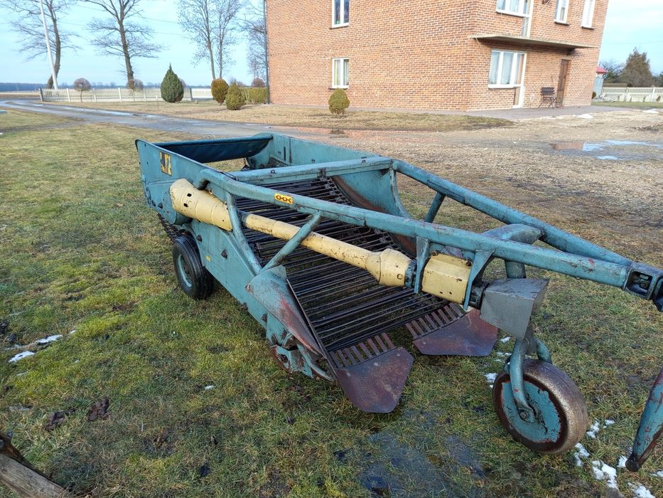 Ziemniaki warzywa chrzan cebula kopaczka