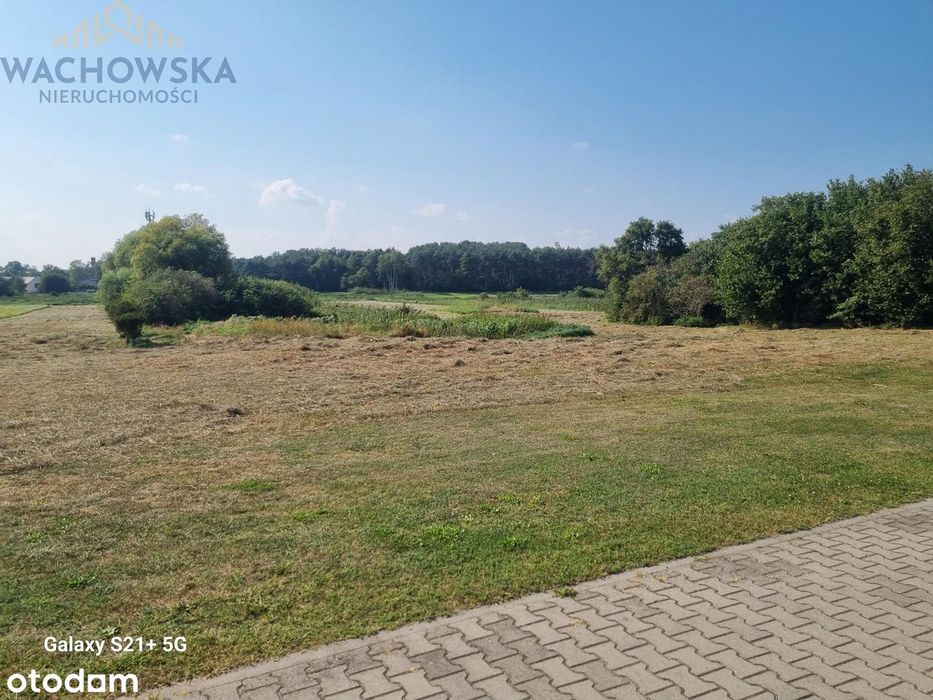 Działka 9900m2 - Babimost