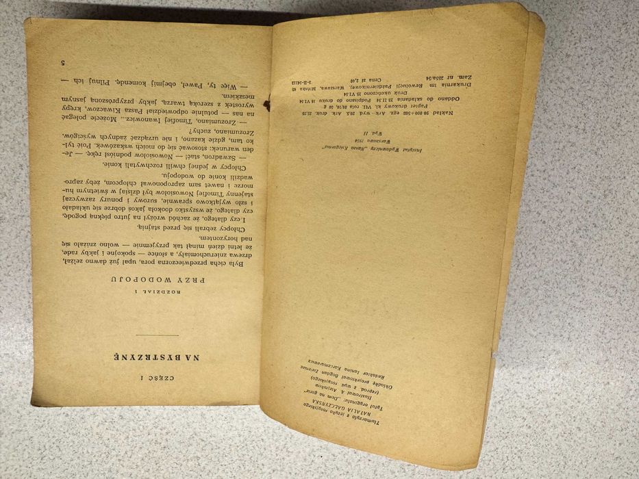 Książka Dom na Wzgórzu Aleksiej Musatow