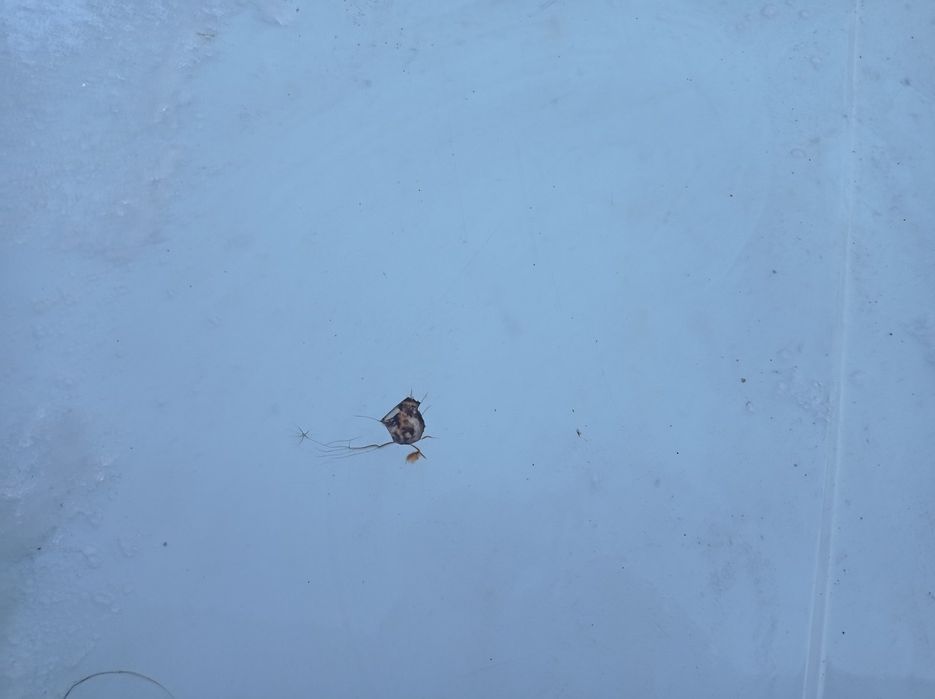 Продам  під одновління