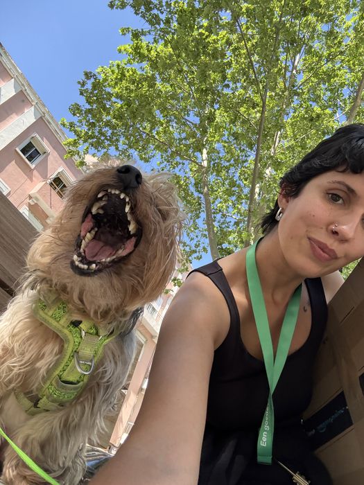 Pet sitting + pet boarding + dog walking