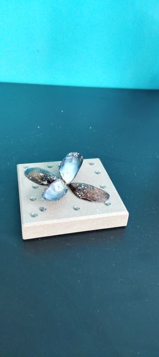 Prezent na dzień babci dziadka ozdoby z muszli