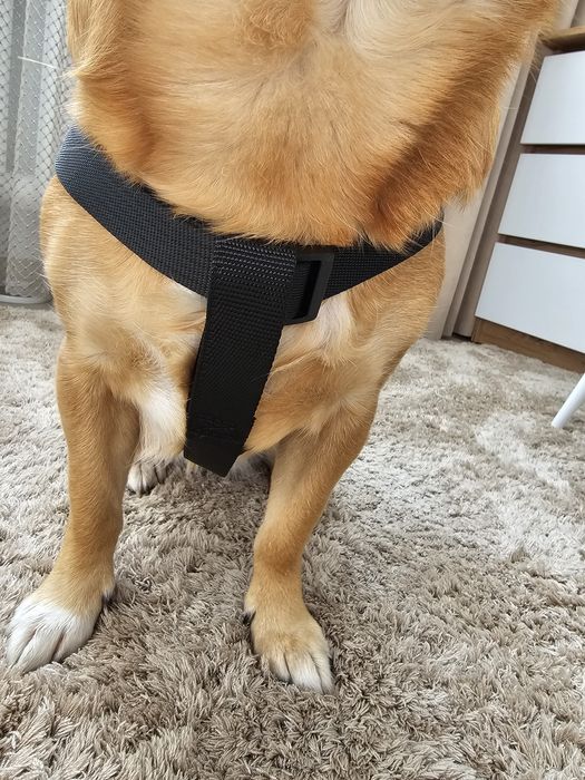 Шлея для собак, середньої породи, може бути і на більшу собаку, нова