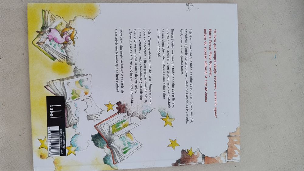 Livro O castelo dos livros