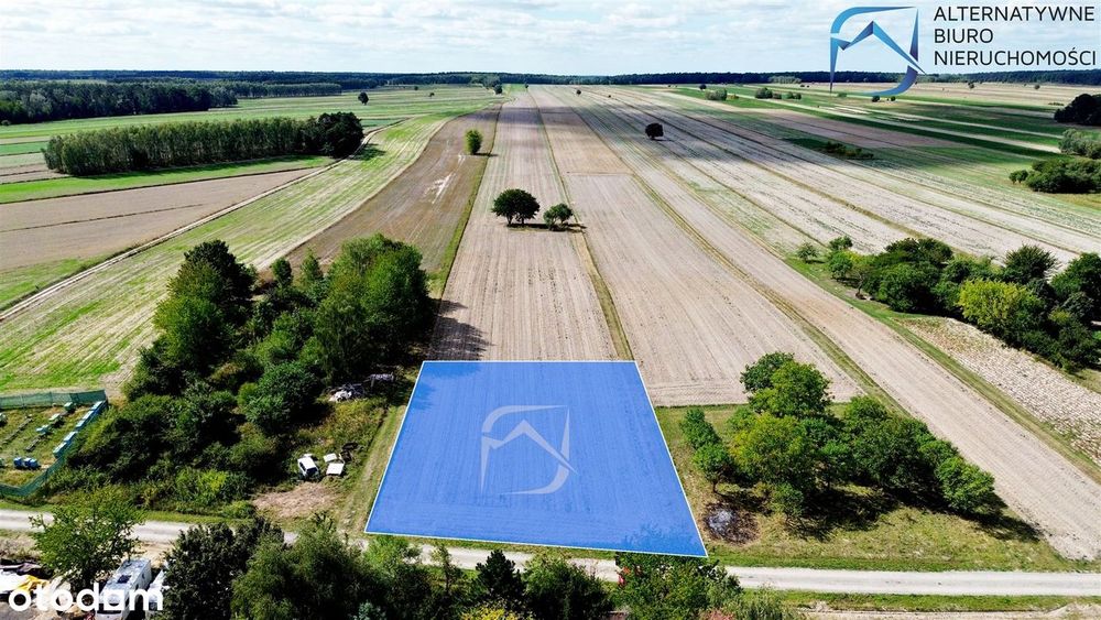 Działka 1587 m²|Głuszczyzna|13 km do centrum