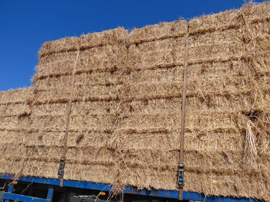 Fardos de feno grandes