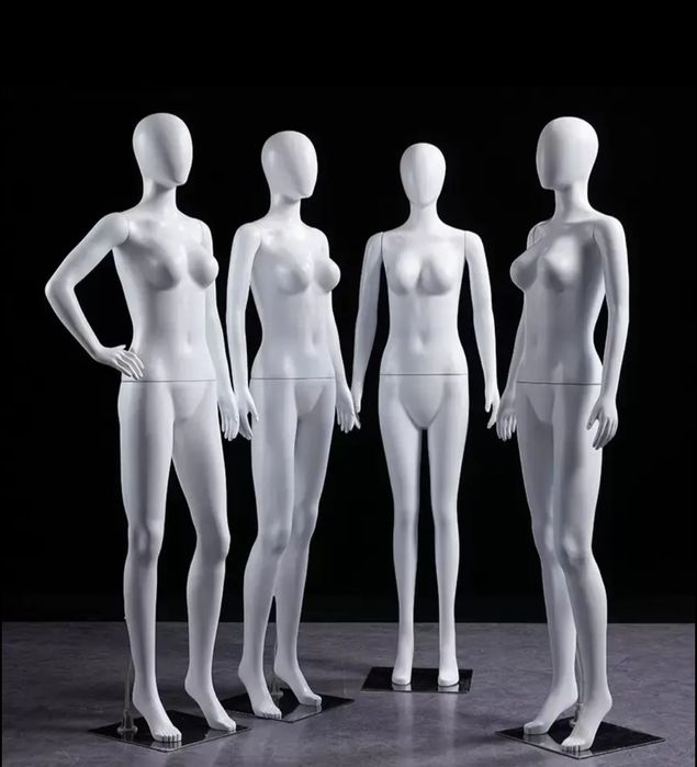 Busto para boxer, cuecas etc. (NOVO)