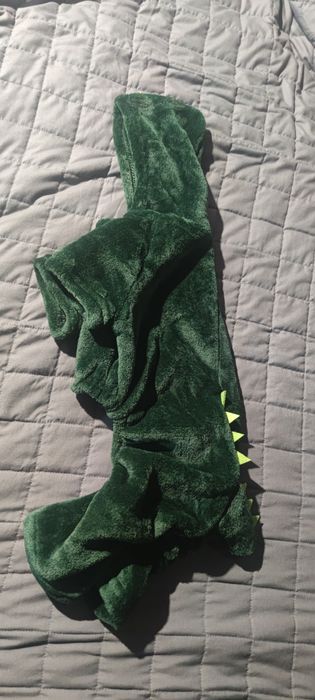 Nowe ubranko dla psa dinozaur