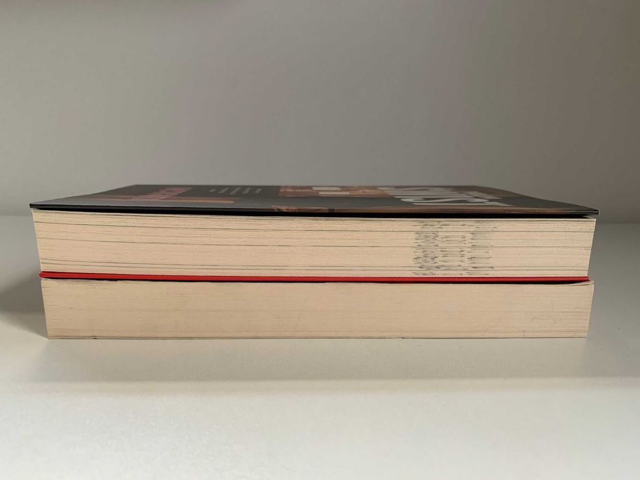 zestaw książek Paulina Świst - Prokurator i Incognito używane