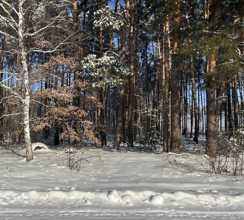 Продам будинок з озером біля лісу! 120 м2! Здвижівка!