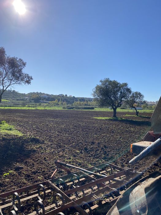 Servicos de mini giratória, limpeza de terrenos.