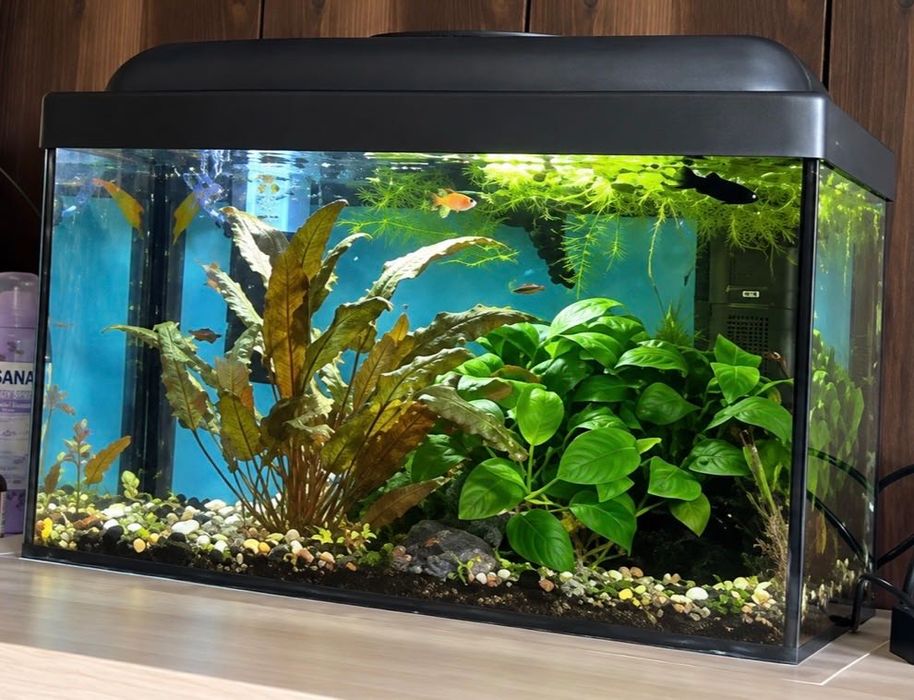Akwarium z całym wyposażeniem 25l