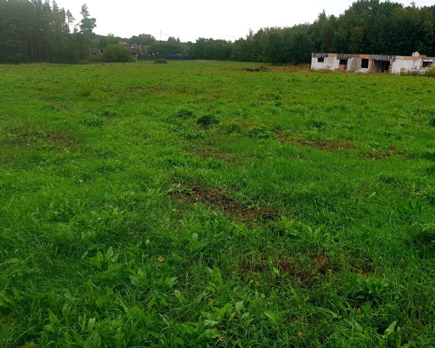 Atrakcyjne Dzialki Budowlane i Rolno-Budowlane