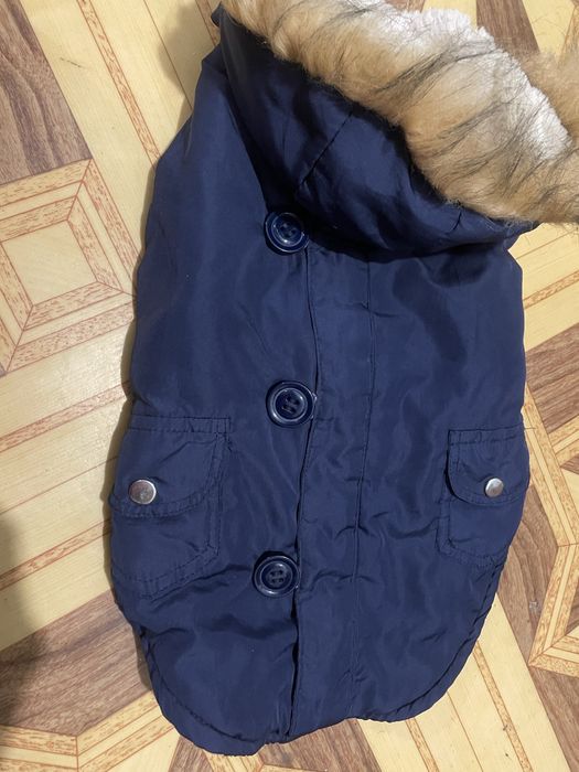 Помпона на собачку