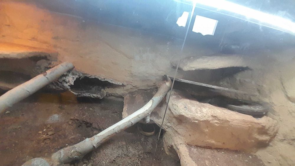 Terrarium 144x64x78cm jaszczurka