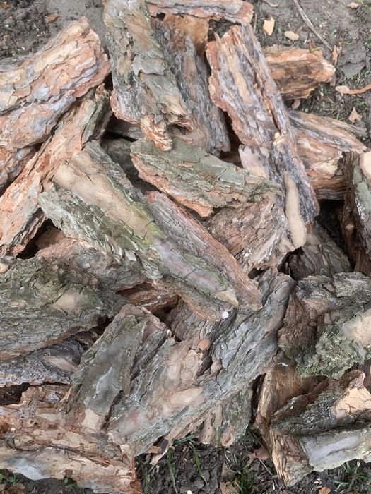 Соснова кора декор