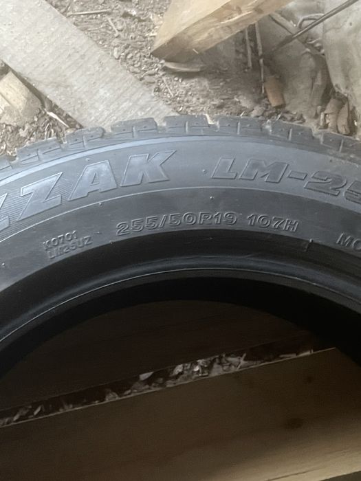 Шини Bridgestone R19