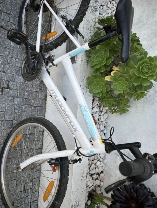 Bicicleta Synergy 24