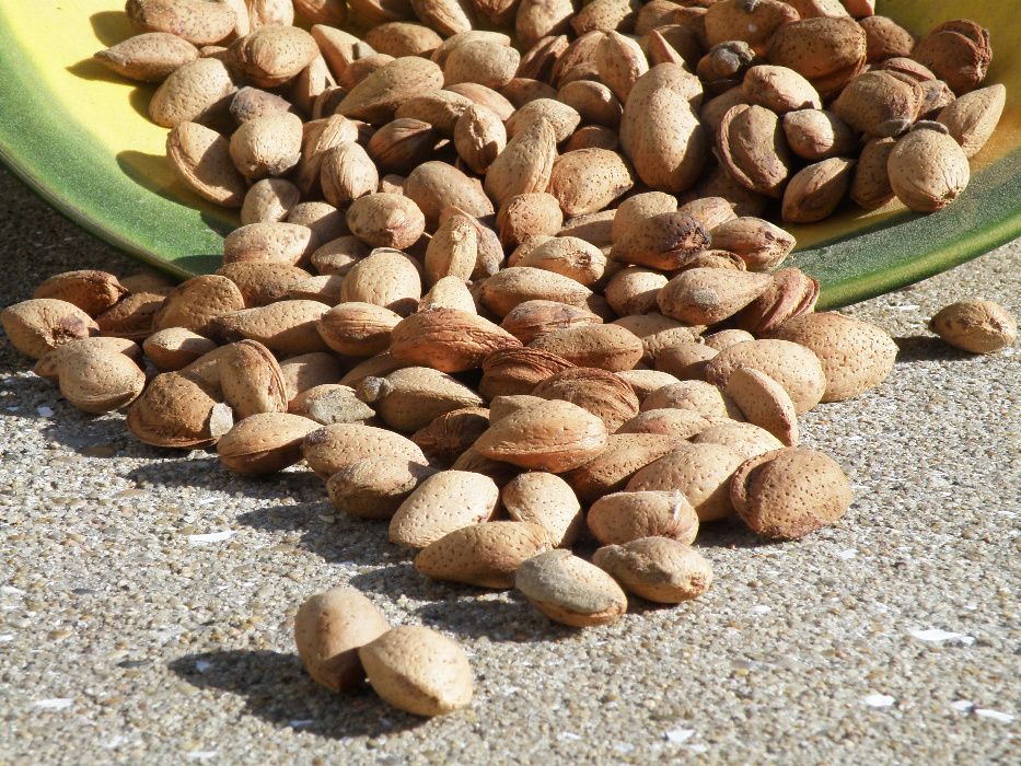 Amêndoa em casca rija de V. N. de Foz Côa