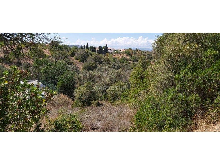 Agricultural land, various crops, Paderne, Albufeira, Algarve