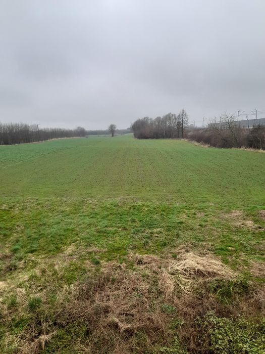 Działka siedliskowa 1,8 ha z domem - Widok 2