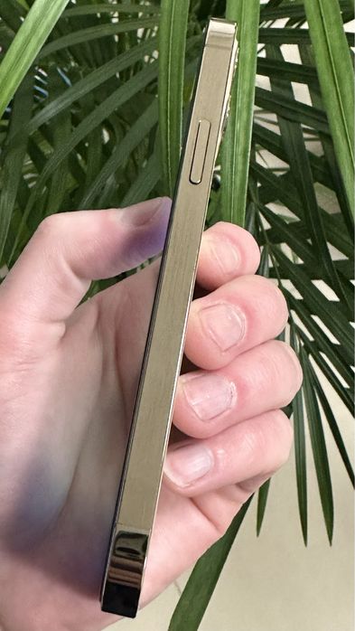 iPhone 12 Pro 256Gb Gold