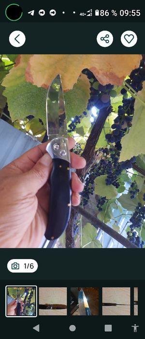 Охота,рыбалка,туризм.