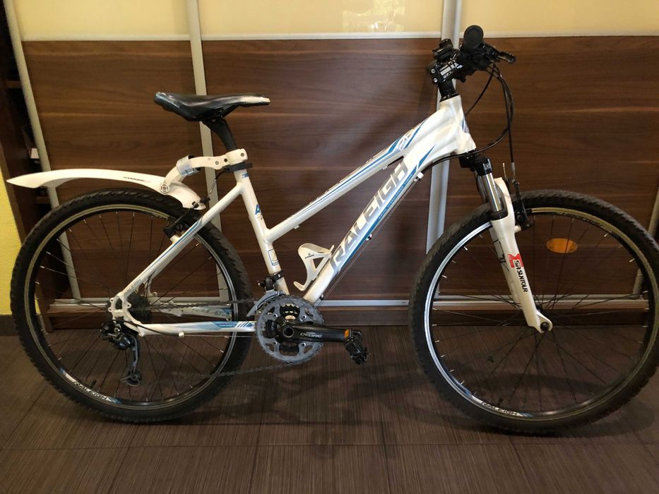 Rower RALEIGH Talus 1.0