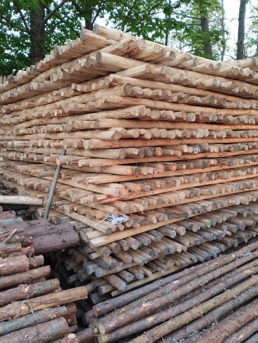 Kołki do drzewek wolno stojące