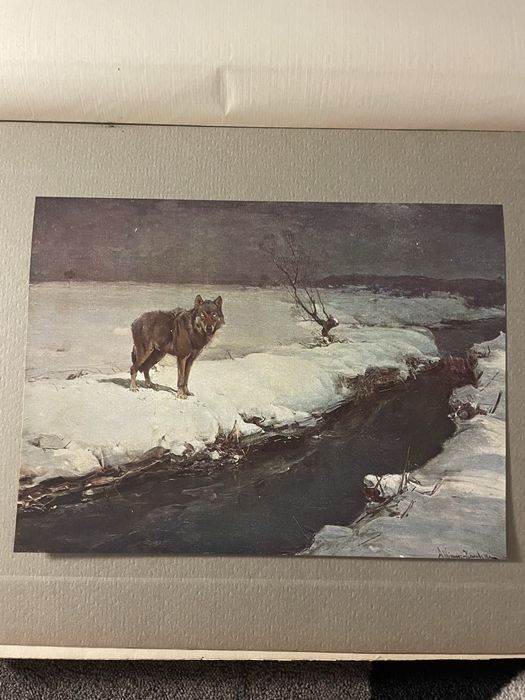 Rabuś, Alfred Wierusz-Kowalski, stara reprodukcja